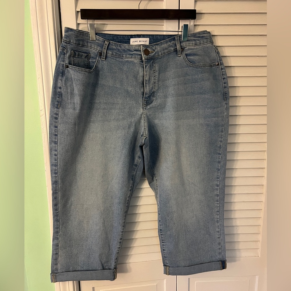 Lane Bryant Light Blue Denim Pants